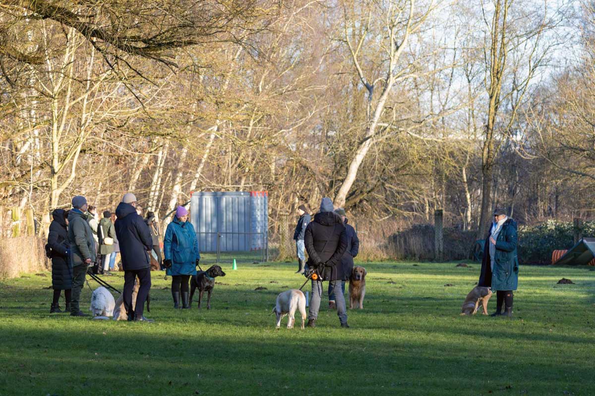 Training auf dem Hundeplatz