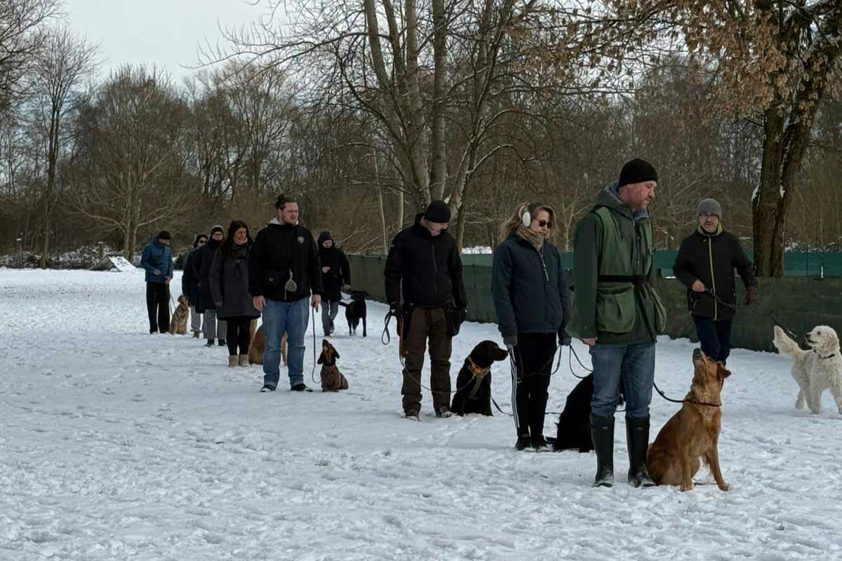 Mensch und Hund als Team
